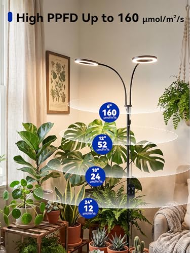 GLOWRIUM Grow Lights for Indoor Plants,Full Spectrum Plant Light with Stand - color: Black-Double Head