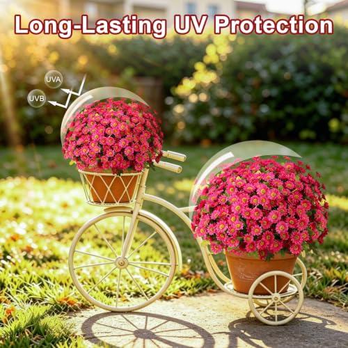 Artificial Daisy Mums for Outdoors, 12 PCS Fall Flowers, Fuchsia - color: Fuchsia