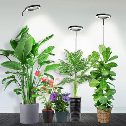 Garpsen Plant Light, Full Spectrum Grow Light, 65'' Height Adjustable 3Pack - size: Black-3Pack