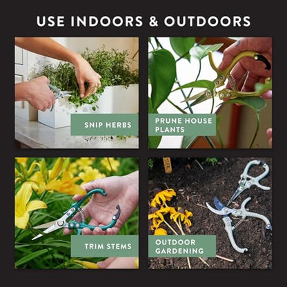 Modern Sprout Pruning Shears - Garden Snips - Herb Scissors - Multi 4-Pack - color: Multicolor - 4pcs