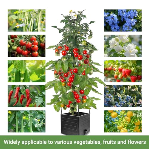 2 Pack Tomato Planter with Trellis 57 Inch Self Watering Pots Cage Boxes