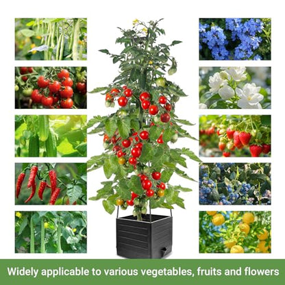 2 Pack Tomato Planter with Trellis 57 Inch Self Watering Pots Cage Boxes