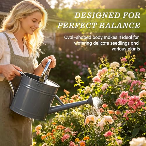 1 Gallon Watering Can for Outdoor&Indoor Plants，Gray - color: Gray