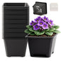 25 Packs Square Nursery Pots for Plants 5.5 Inch Seedling Pots with Holes - size: 5.5 Inch