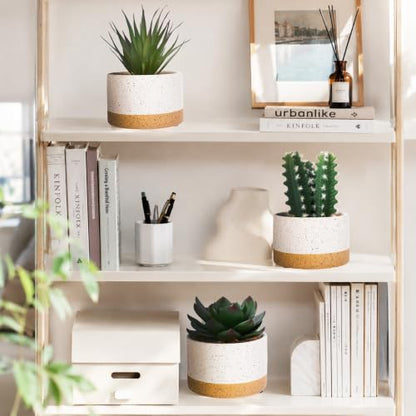 Artificial Succulent Cactus Plant Set Ceramic Flower Pot Set of 3 for Home, Office, Desk, Bedroom, Living Room Decoration