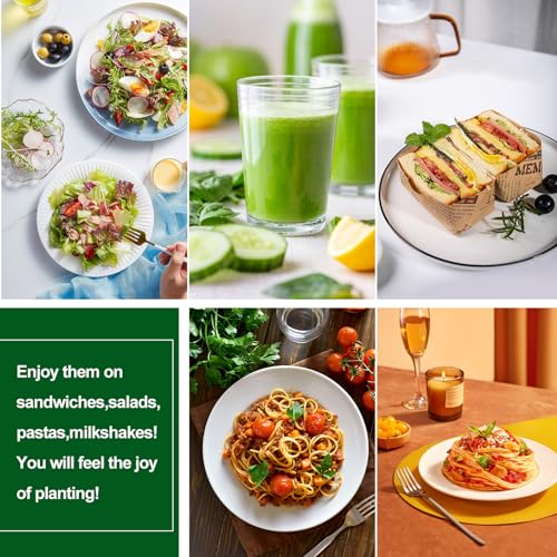 32 PCS Microgreen Mats, 5" X 5" Plant Grow Mat Hydroponic Grow Pads Microgreens Sprouting Mats Microgreens Kit for 1020 Germination Trays Wheatgrass Sprouts - size: 32PCS 5''x5''