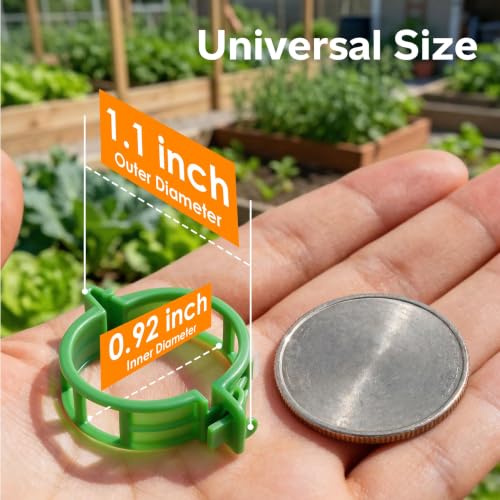 100Pcs Tomato Clips for Climbing Plants Trellis Plant Support Clips - color: Green