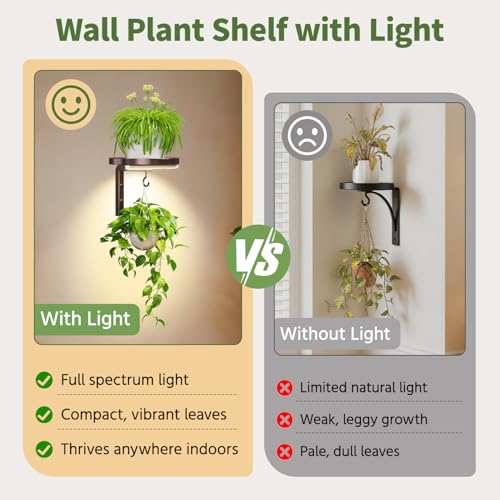 LASZOLA Plant Hanger Holder Shelf Wall Indoor with Lights, 2 Pcs Brown - color: Bronze, size: 2