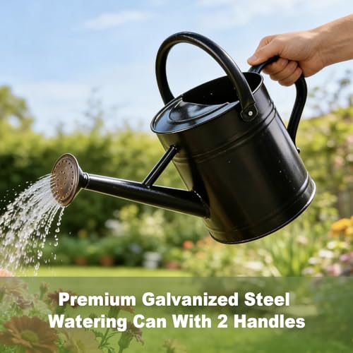 1 Gallon Watering Can for Outdoor&Indoor Plants，Black - color: Black