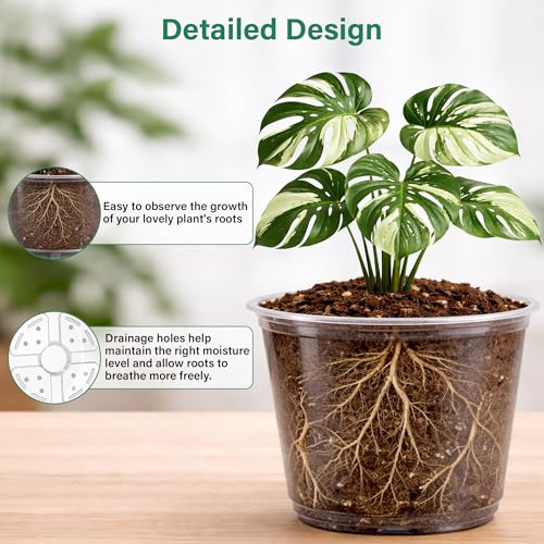 Bluepro Clear Nursery Pots with Drainage Holes, 5/6/8/10 Inch, 16-Pack - size: 5/6/8/10 Inch-16Pcs
