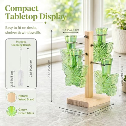 Nacome Plant Terrarium Propagation Stations: Green Vase with Wooden Stand - color: Green