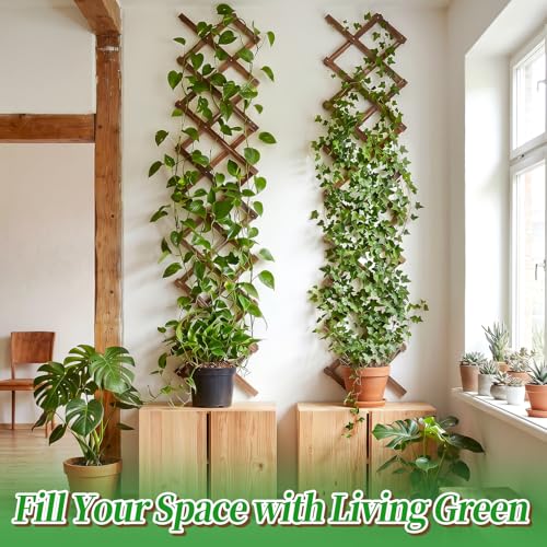 2Pcs 13x78 Expandable Wood Wall Trellis for Climbing Plants Outdoor/Indoor - style: 2 packs