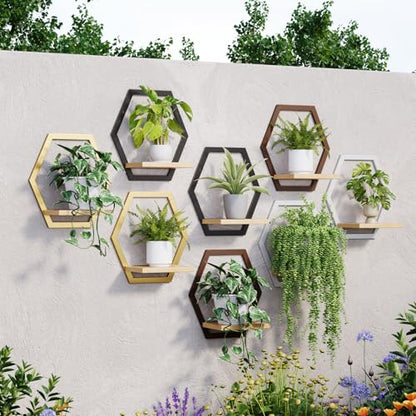 2 Pack Hexagon Wall Plant Stands, 9 Inch Wood Shelf Coffee - color: 2 pack coffee