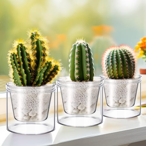 Baderke 2 Pcs 4 Inch Self Watering Pot for Indoor Plants Clear Glass Planter Small Plant Pot with Saucer Reservoir Drainage Holes Bottom Watering Pot for African Violet Orchid Flowers Houseplant - style: /