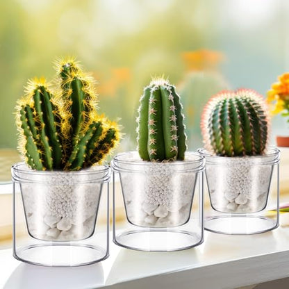 Baderke 2 Pcs 4 Inch Self Watering Pot for Indoor Plants Clear Glass Planter Small Plant Pot with Saucer Reservoir Drainage Holes Bottom Watering Pot for African Violet Orchid Flowers Houseplant - style: /