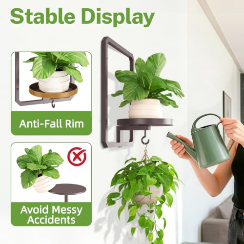 iDavosic.ly Wall Plant Picture Frame Holder Set of 2 & 2 Grow Light, Bronze - color: Bronze with 2 Lights, size: Rectangular