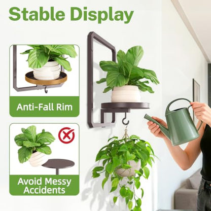 iDavosic.ly Wall Plant Picture Frame Holder Set of 2 & 2 Grow Light, Bronze - color: Bronze with 2 Lights, size: Rectangular