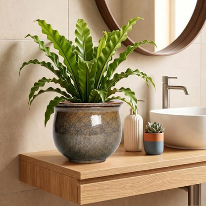 Ceramic Self Watering Pots, 8 Inch Ceramic Planter, Yellowish Brown - color: Yellowish Brown, size: 8 Inch