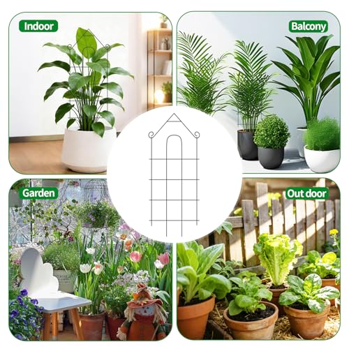 32" Plant Trellis, 6 Pack Metal Garden Trellis for Potted Plants Indoor/Outdoor, Rust-Proof Sturdy Steel Trellis for Climbing Plants, Monstera, Tomatoes, Cucumbers - size: 6Pack -32 inch house shape
