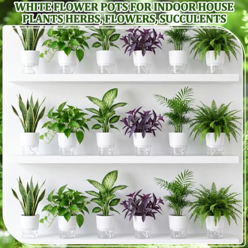 36 Pack Self Watering Pots for Indoor Plants, Bulk Small 3.5 Inch