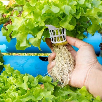 Angoily 1.5" Net Pots, 50Pcs Plastic Hydroponic Pod Net Cultivation Basket
