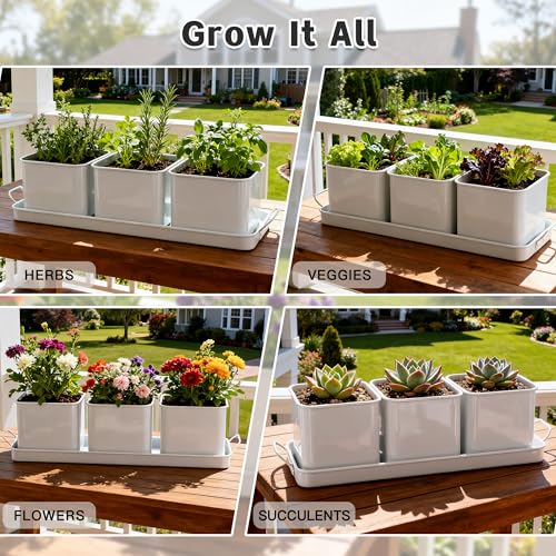 Indoor Herb Planter with 3 Herb Pots and Handled Tray
