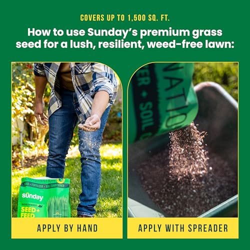 Sunday Northwest Grass Seed & Fertilizer with Tall Fescue - Sun & Shade