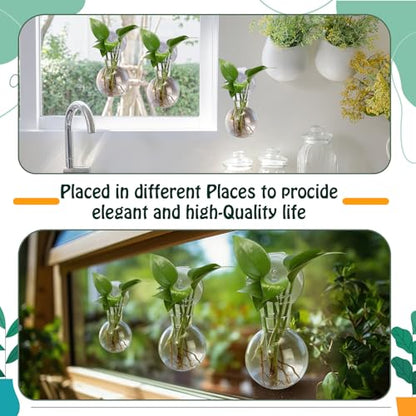 Baderke 6 Pack Suction Cup Vase, Window Propagation Glass Planter, Bulb