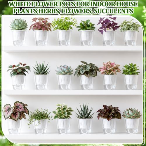 Self Watering Plant Pots, 3.5'', Transparent White, 18 Pcs - color: Transparent White, size: 3.5''