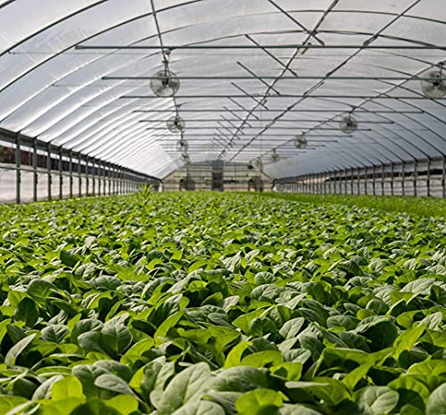 Garden Netting Pest Barrier: 10'x100' Fine Bug Netting - size: 10'x100'