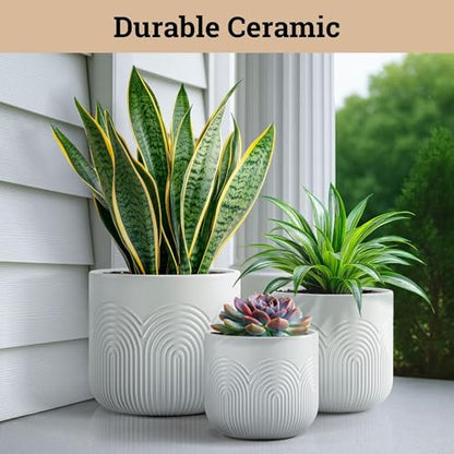 Ceramic Pots for Plants Set of 3, 6, 5, 4 Inch Diameter with Drainage Holes