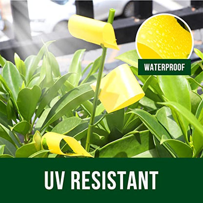 Garsum 21 Traps Sticky Houseplant Traps Gnat Yellow Insect Trap Indoor Fruit Fly Stakes Trap - color: 21 PCS