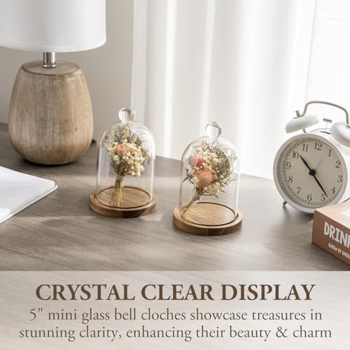 MyGift Mini Clear Glass Bell Display Cloches with Premium Acacia Solid Wood Base, Decorative Dome Cover Stands for Small Heirloom Jewelry Curios Keepsakes, Set of 2