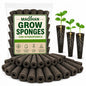 MAQIHAN 100 Grow Sponges for Hydroponics - Seed Starter Pods for Planting