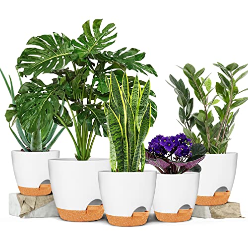 GARDIFE 5/5.5/6/6.5/7 Inch Self Watering Planters, White - color: 7-white, size: 7/6.5/6/5.5/5 inch|5 pcs