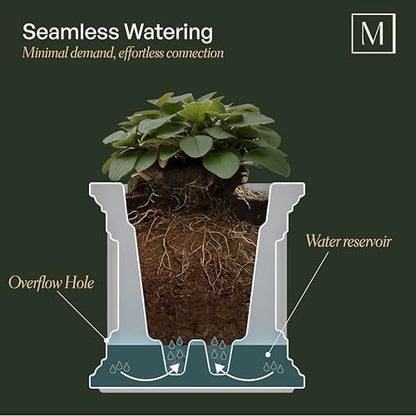 Mayne Cape Cod 20in Self-Watering Square Planter, Black - color: Black, size: 20in