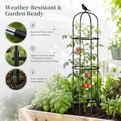 FOLLOOK Garden Obelisk Trellis for Climbing Plants Outdoor, 2 Pack - color: 67"-Black-2PK