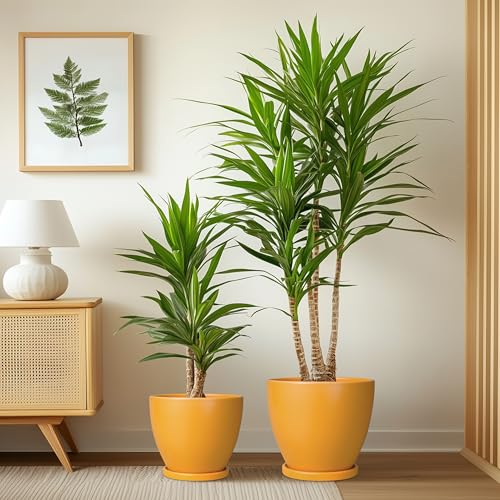 Ceramic Plant Pots - 10 Inch 8 Inch 6 Inch Planters, Orange - color: Matte Orange