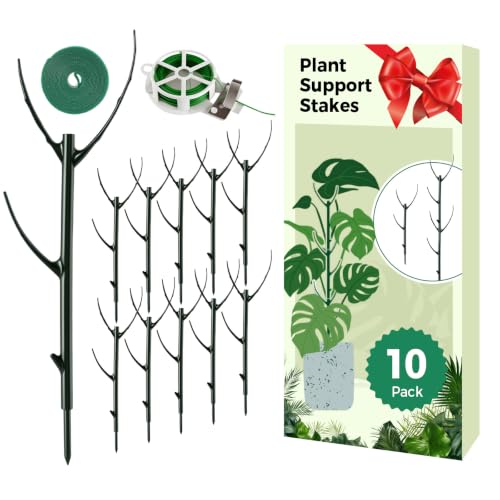 10 Packs Stackable Monstera Plant Support Stakes for Small Potted Plants