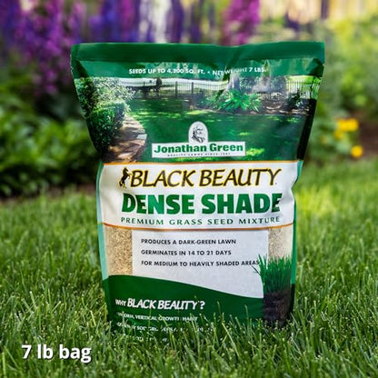 Jonathan Green Black Beauty Dense Shade Grass Seed - 7 lb - size: 7 lb
