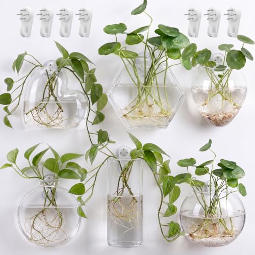 6 Pcs Wall Hanging Glass Terrariums Vase Indoor Planter Vase for Hydroponics Plants, Bathroom, Home Office Living Room Decor, 6 Different Shape(Plants Not Included)