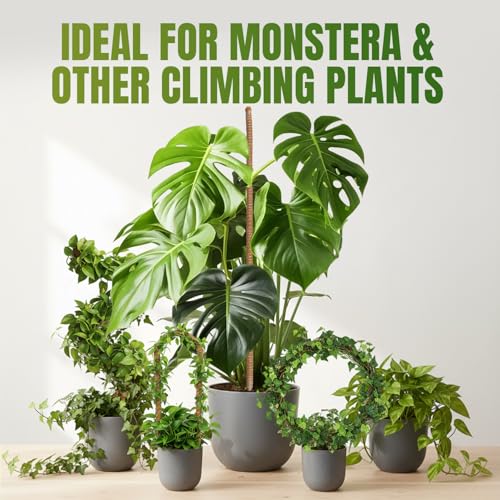 Mcbazel 2 Pack 63 Inch Bendable Moss Pole for Plants Monstera - Extra Tall 5.2ft Coco Coir Plant Support Stakes for Large Indoor Climbing Vines - Flexible Totem Stick Kit with Rope, Wire & Ties - size: 2x160CM/63inch