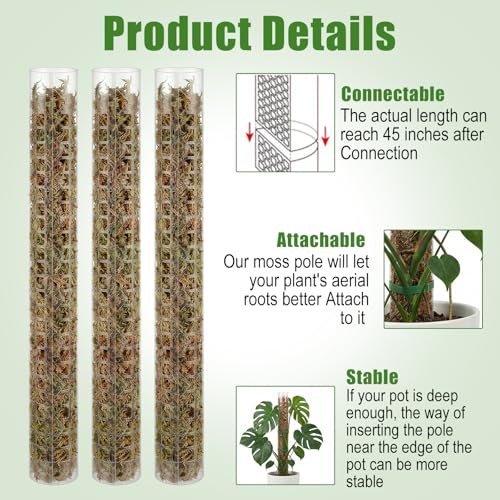 6 Pcs Plastic Moss Pole for Monstera 6×24'' Plant Poles for Climbing Plants Shaped Plant Support Indoor Use with Sphagnum Moss for Climbing Plants Work 24 Inch