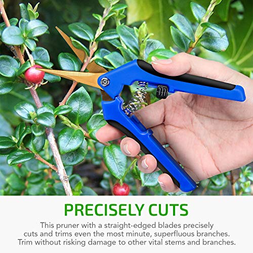 iPower GLPRNR6BLTI 6.5" Pruning Shear Hand Pruner for Gardening Potting with Titanium Coated Curved Precision Blades, 1-Pack, Blue - size: 1Pack, style: Blue