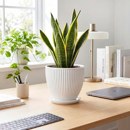 8 Inch Plant Pot, Ceramic Planters with Saucer, White - color: White, size: 8 Inch