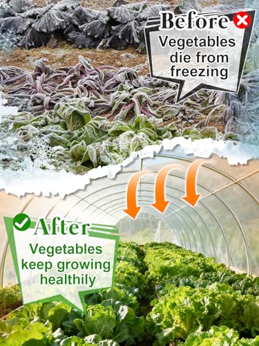 Alphatool 12 x 25 ft Greenhouse Cover Plastic Sheeting for Outdoor Plants - size: 12 x25 ft