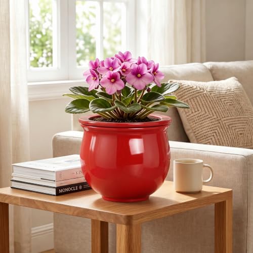 8 Inch Ceramic Self Watering Pots with Absorbent Inner Pot, Red - color: Red, size: 8 Inch