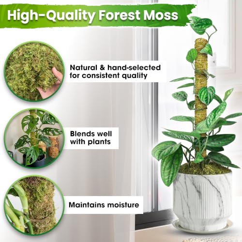 DUSPRO 4 Pack 22" Natural Stackable Moss Pole for Plants Monstera - color: Natural 4pcs