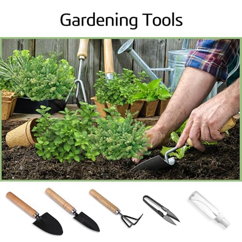 Indoor Herb Garden Starter Kit, Including A Complete Gardening Tools for Women Parents Gift