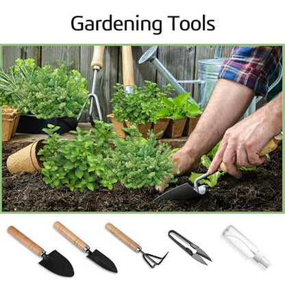 Indoor Herb Garden Starter Kit, Including A Complete Gardening Tools for Women Parents Gift